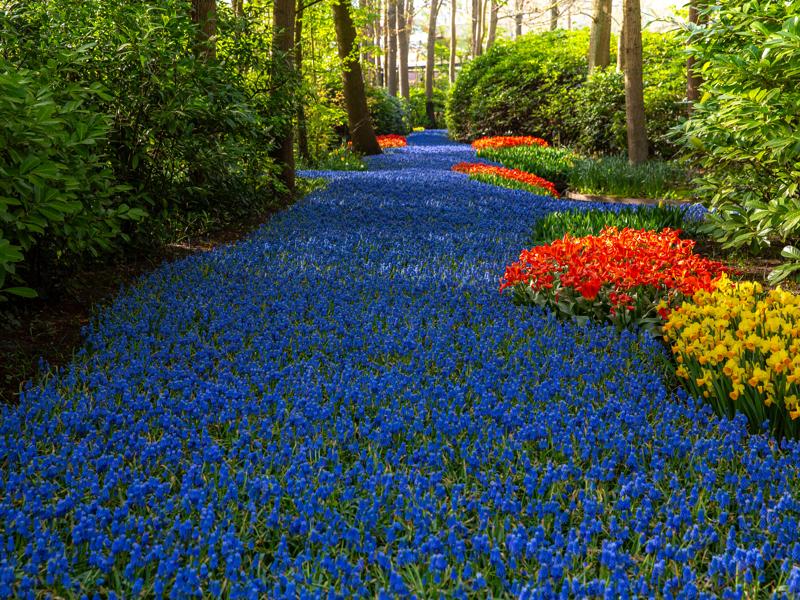 Keukenhof Gardens